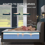 10in\u002F12in Twin\u002FFull\u002FQueen\u002FKing Mattress Suitable for Home & Hotel Use, Hybrid Foam & Spring Bed with Medium Firmness, Lumbar Support, Bagged Coil System, Boxed Bed Frame Compatible for Home Rooms, No Wood