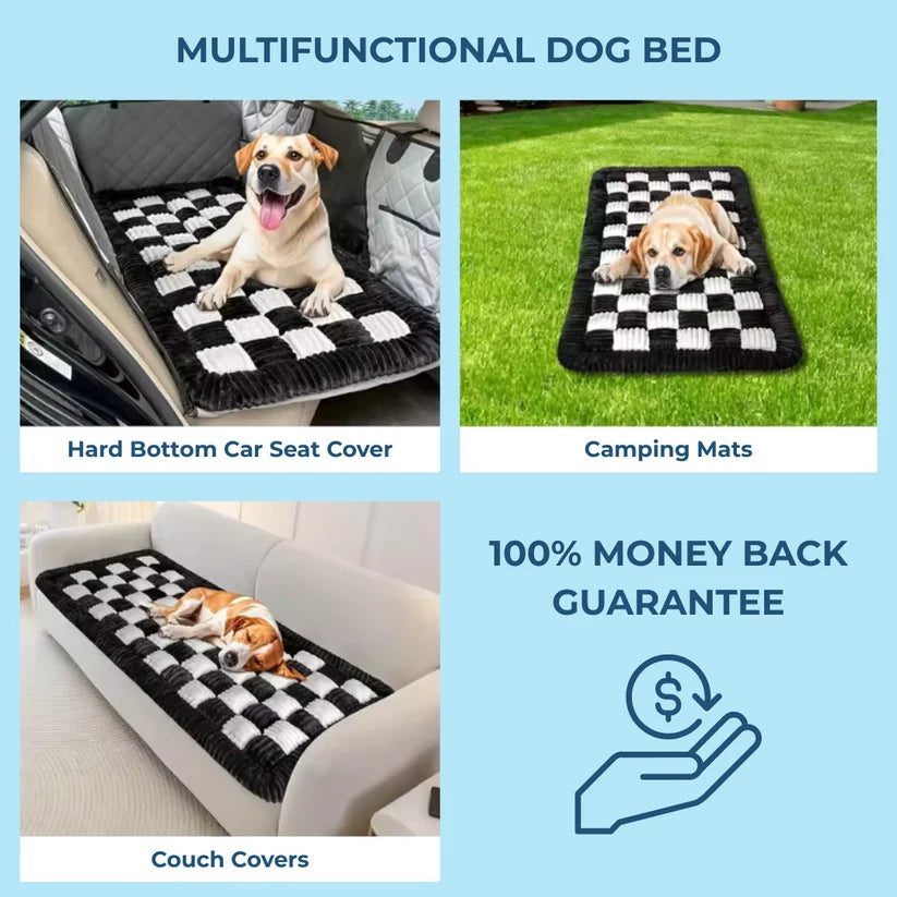 🐾 CalmDrive Dog Travel System — Comfort & Protection on Every Ride