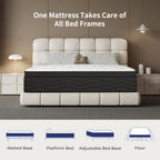 Memory Sponge Christmas Gift, 12 Inch Mattress\u002FMemory Sponge\u002FBlack And White Splicing Style, Soft, Comfortable And Healthy, with Built-in Springs.
