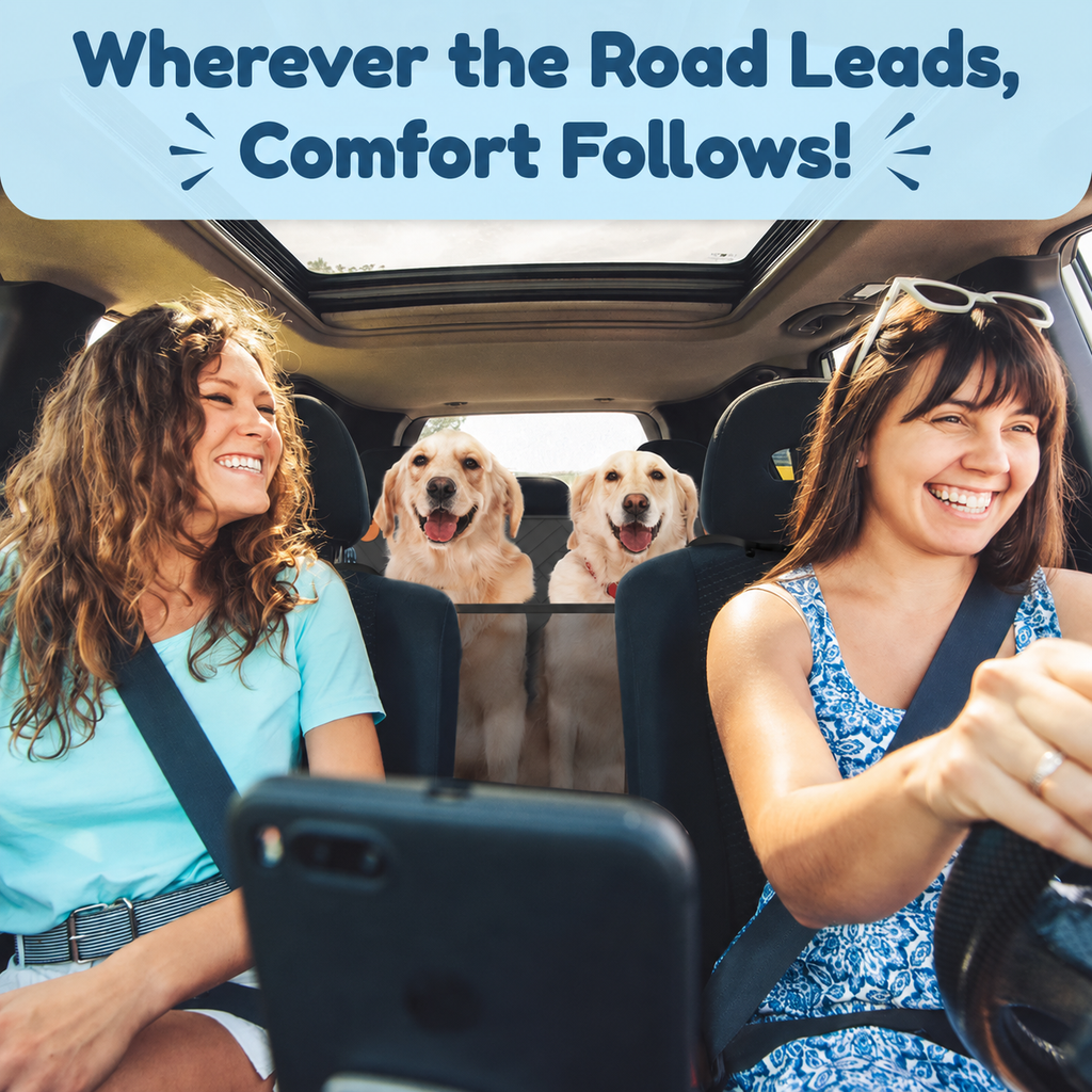 🐾 CalmDrive Dog Travel System — Comfort & Protection on Every Ride
