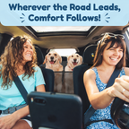 🐾 CalmDrive Dog Travel System — Comfort & Protection on Every Ride
