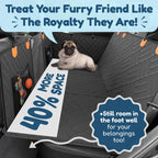 🐾 CalmDrive Dog Travel System — Comfort & Protection on Every Ride