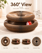 🐾 Magic Accordion Cat Scratcher – Interactive Foldable Cat Toy 🐱